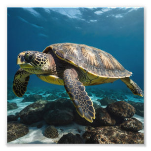 Underwater Sea Turtle Photo Print