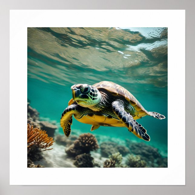 Underwater Sea Turtle Poster (Front)