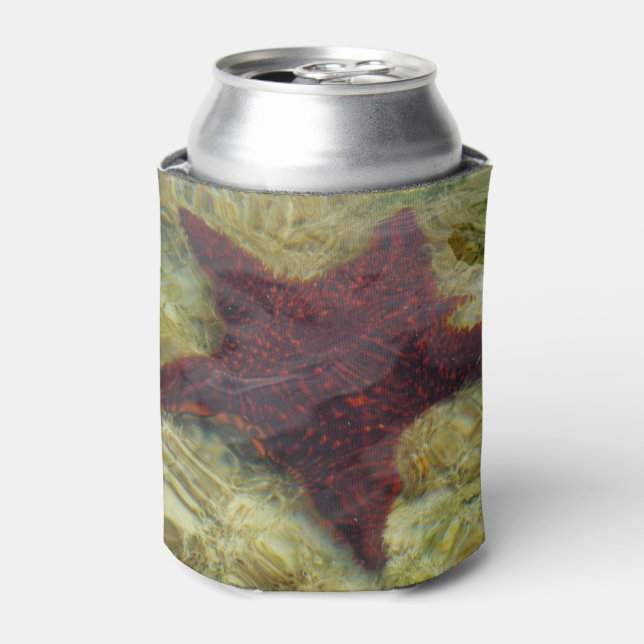 Underwater Starfish in the Bahamas Can Cooler (Can Front)