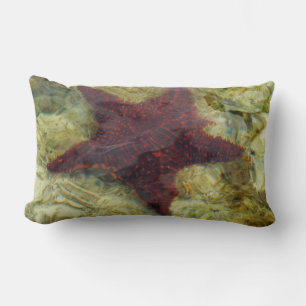 Underwater Starfish in the Bahamas Lumbar Pillow