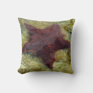 Underwater Starfish in the Bahamas Throw Pillow