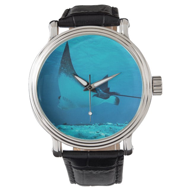 Underwater Stingray watch (Front)
