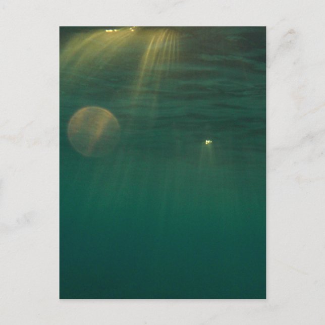 Underwater Sunset Postcard (Front)