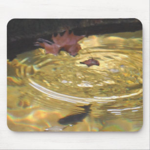 Underwater Trout feeding in Smoky Mountain creek Mouse Pad