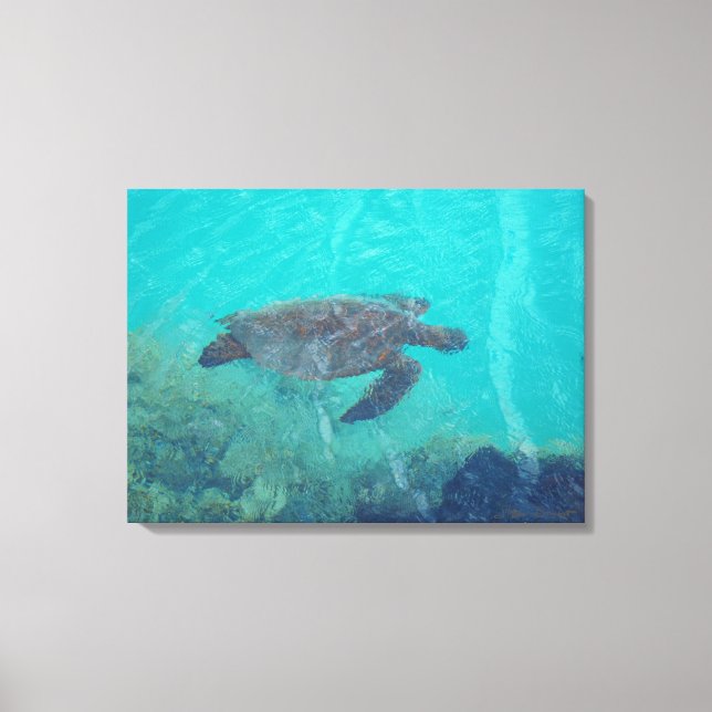 Underwater turtle Kiholo Bay Hawaii canvas print (Front)