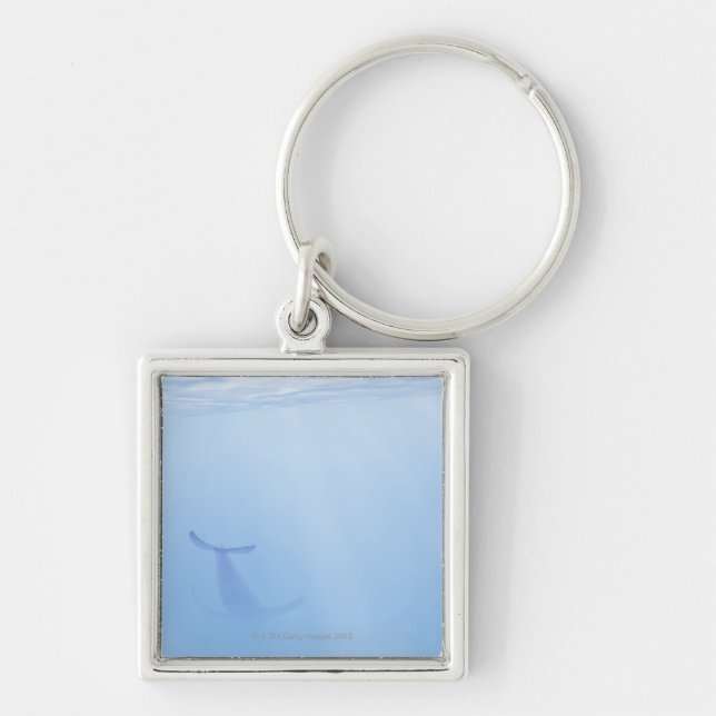 Underwater view of whale keychain (Front)