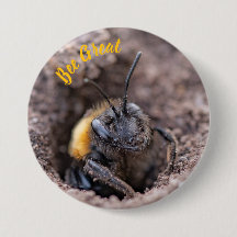 Une abeille sur un badge