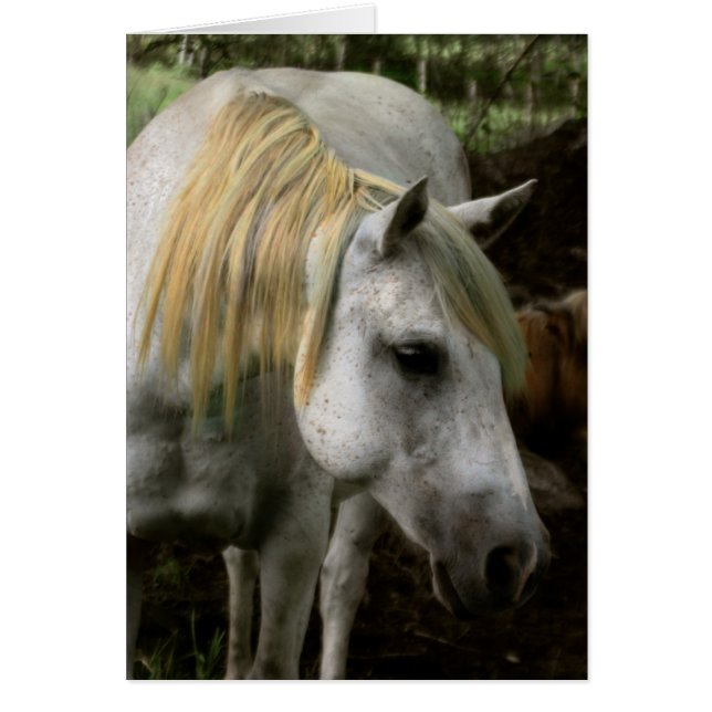 Une âme douce (Devant)