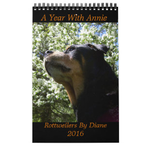 "Une année avec le calendrier 2016 de rottweiler