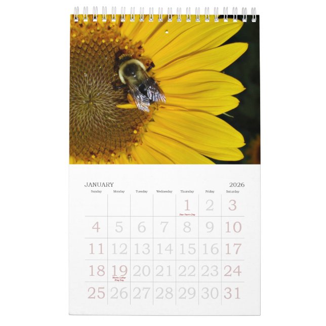 Une année de calendrier des tournesols 2013 (Jan 2026)