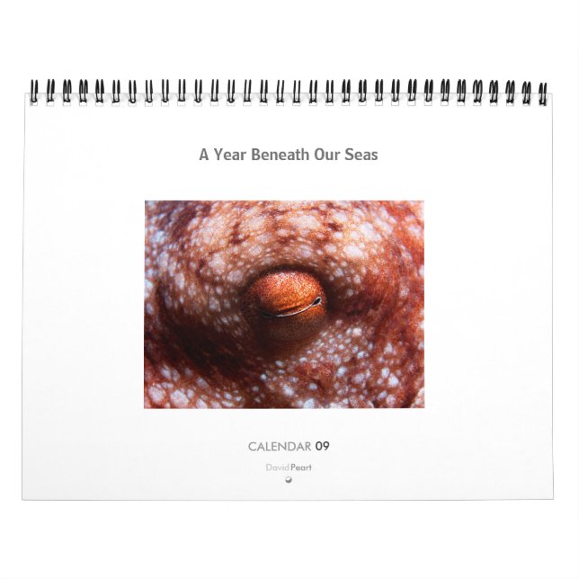 Une année sous nos mers - calendrier 2009 (Protection)