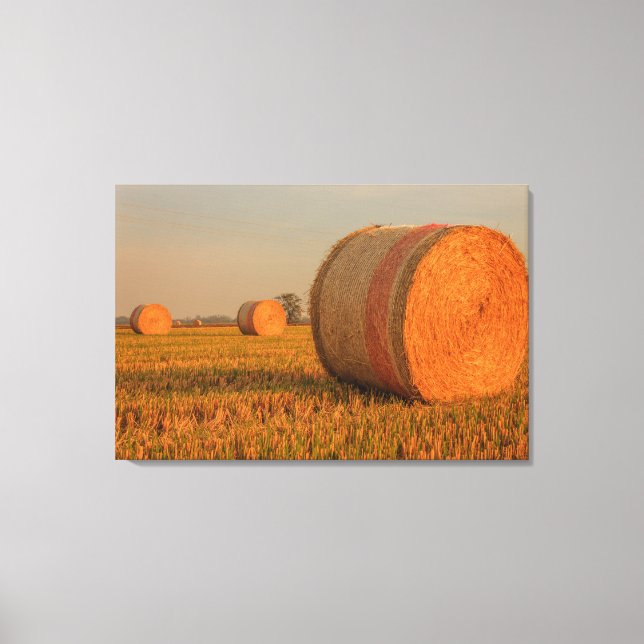 Une balle cylindrique de foin sur toile étirée imp (Recto)