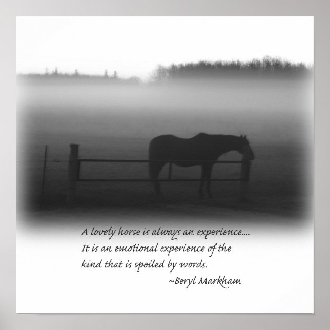 Une Belle Poster De Cheval (Devant)