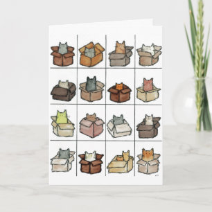 Une boîte pour chaque carte de voeux de chat