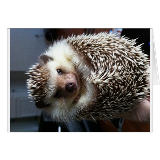 Une boule de Spike (Devant horizontal)