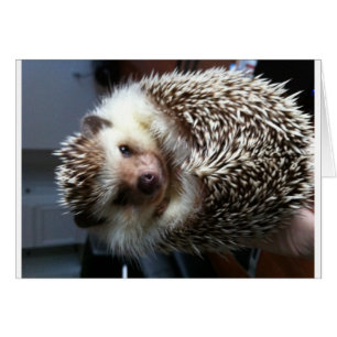 Une boule de transitoire