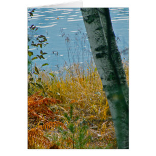 Une Brève D'Automne