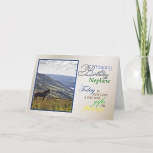 Une carte d'anniversaire pour le neveu.