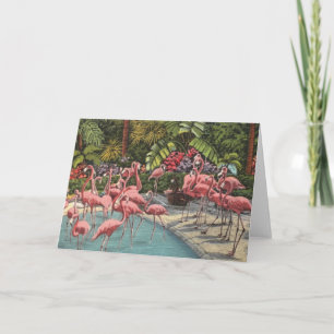 Une carte de Flamants roses en flamboyant
