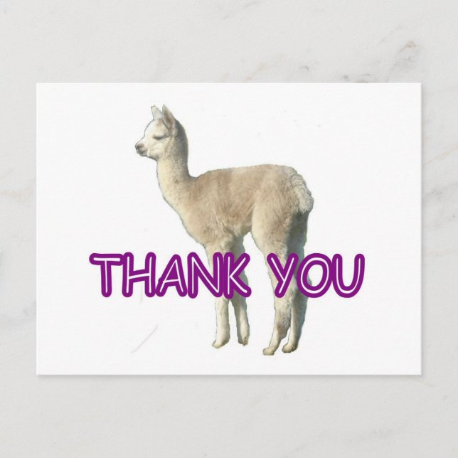 Une carte de "Merci" alpaga (Devant)