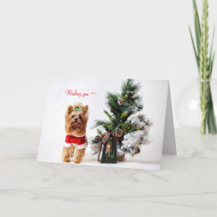UNE CARTE DE NOËL YORKIE POUR N'IMPORTE QUI