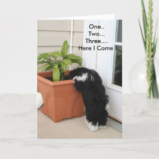 Une carte deux trois cartes