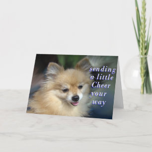 Une carte gaie
