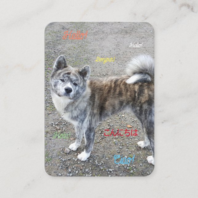 Une carte postale qui fait sensation (Devant)