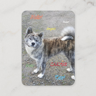 Une carte postale qui fait sensation