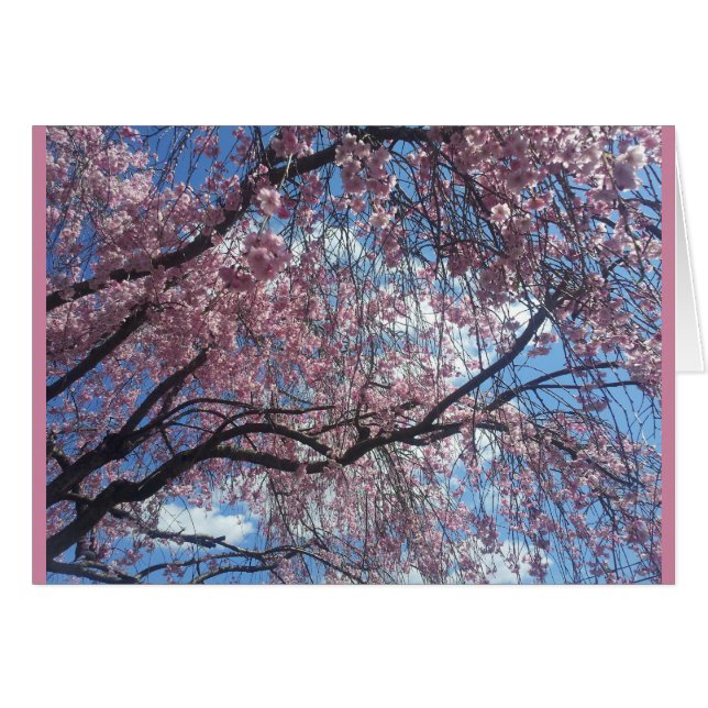 Une cerise larme contre un ciel bleu (Devant Horizontal)