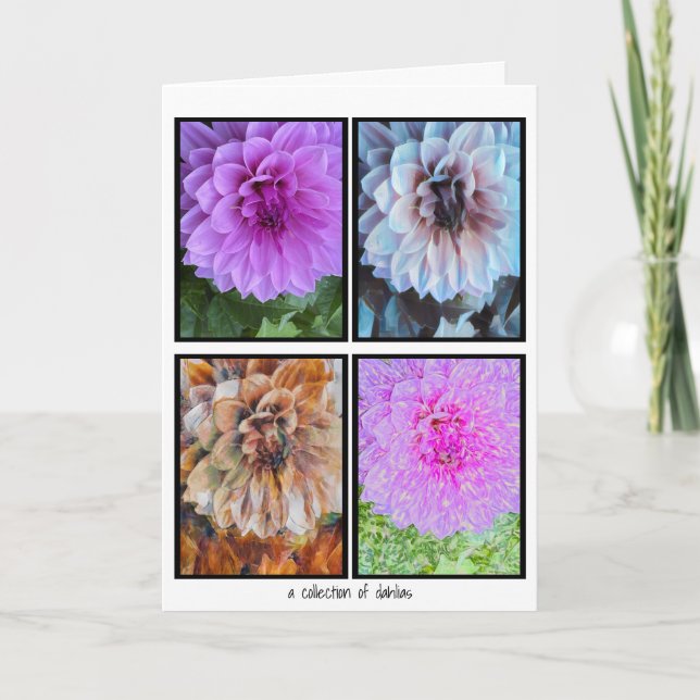 Une collection de cartes Dahlias (Devant)