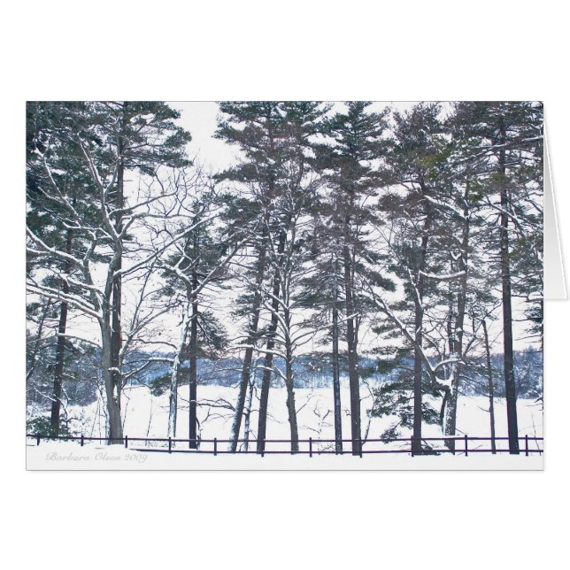 Une compensation à chaque déception (Devant horizontal)