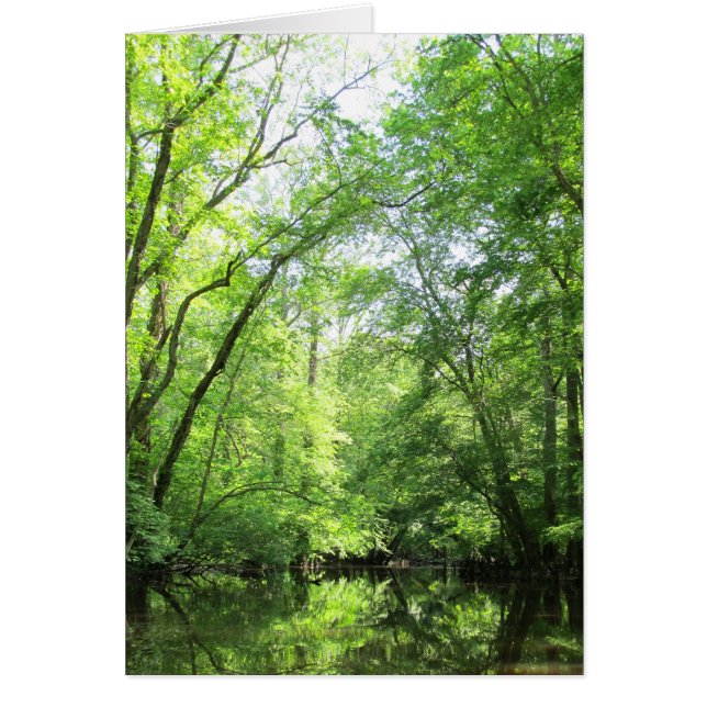 Une crique calme (Devant)