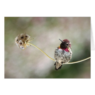 une étoile est née