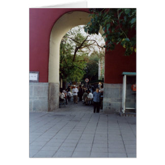 Une femme dans un archipel