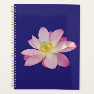 Une fleur de lotus vibrante