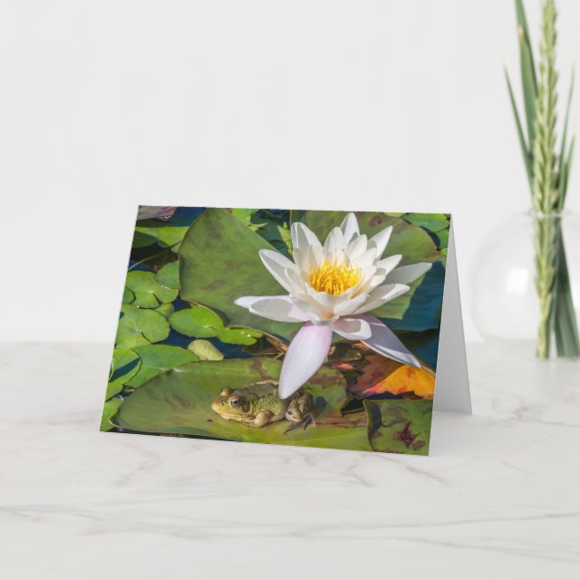 Une grenouille sous une fleur de nénuphar card (Front)