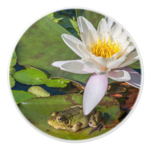 Une grenouille sous une fleur de nénuphar ceramic knob