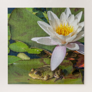 Une grenouille sous une fleur de nénuphar jigsaw puzzle