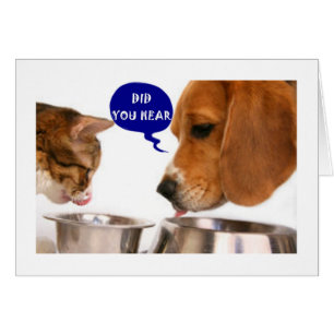 UNE JEUNE FEMME TRÈS SPÉCIALE EST ***21***