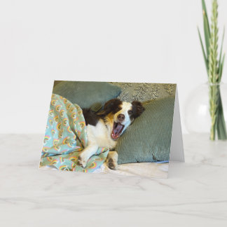 Une jolie carte de bien-être, photo de chien