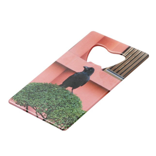 Une Jungle À Gros Billages Croque Une Perche Sur U (Devant Angle)