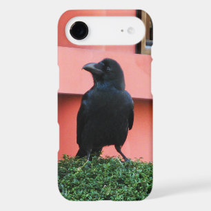 Une Jungle À Gros Billages Croque Une Perche Sur U