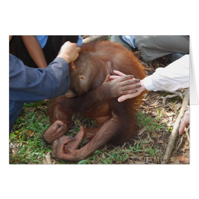 Une main de secours pour les Orangutans (Devant horizontal)