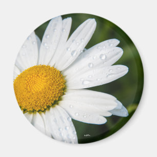 Une margueritte, police vert magnet