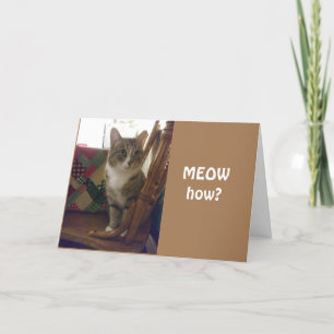 UNE NOUVELLE CARTE POUR ADOLESCENTS ***13***