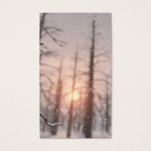 Une nuit d'hiver Signets de rêve