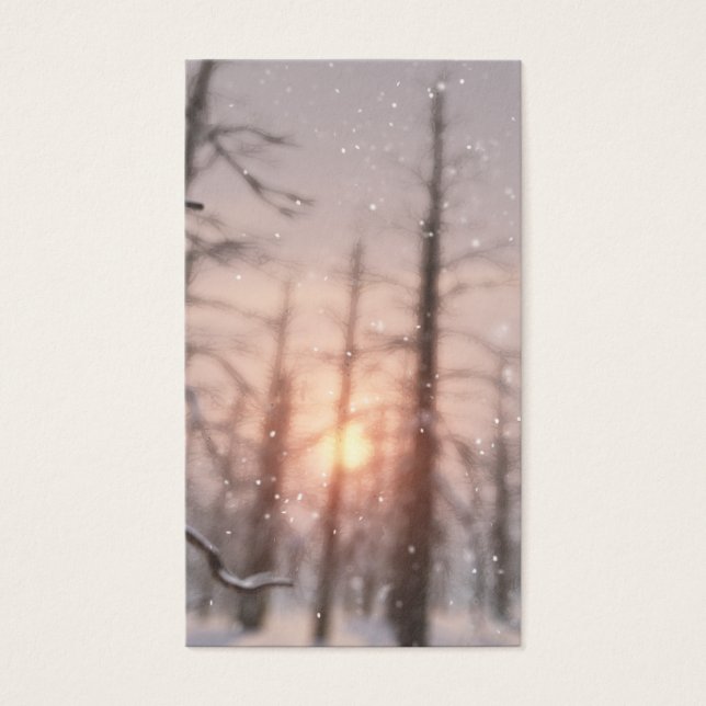 Une nuit d'hiver Signets de rêve (Devant)