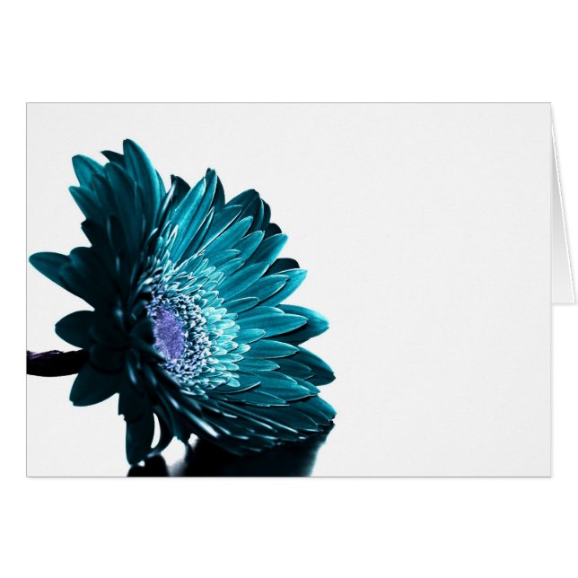 Une nuit éclairée par la lune (Devant horizontal)