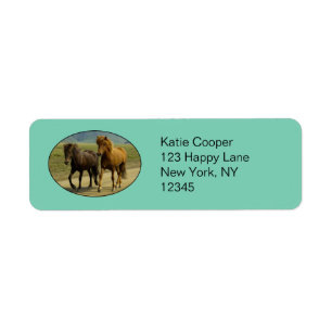 Une paire de poneys islandais Brown